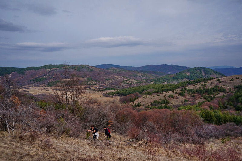 хайкинг краище
