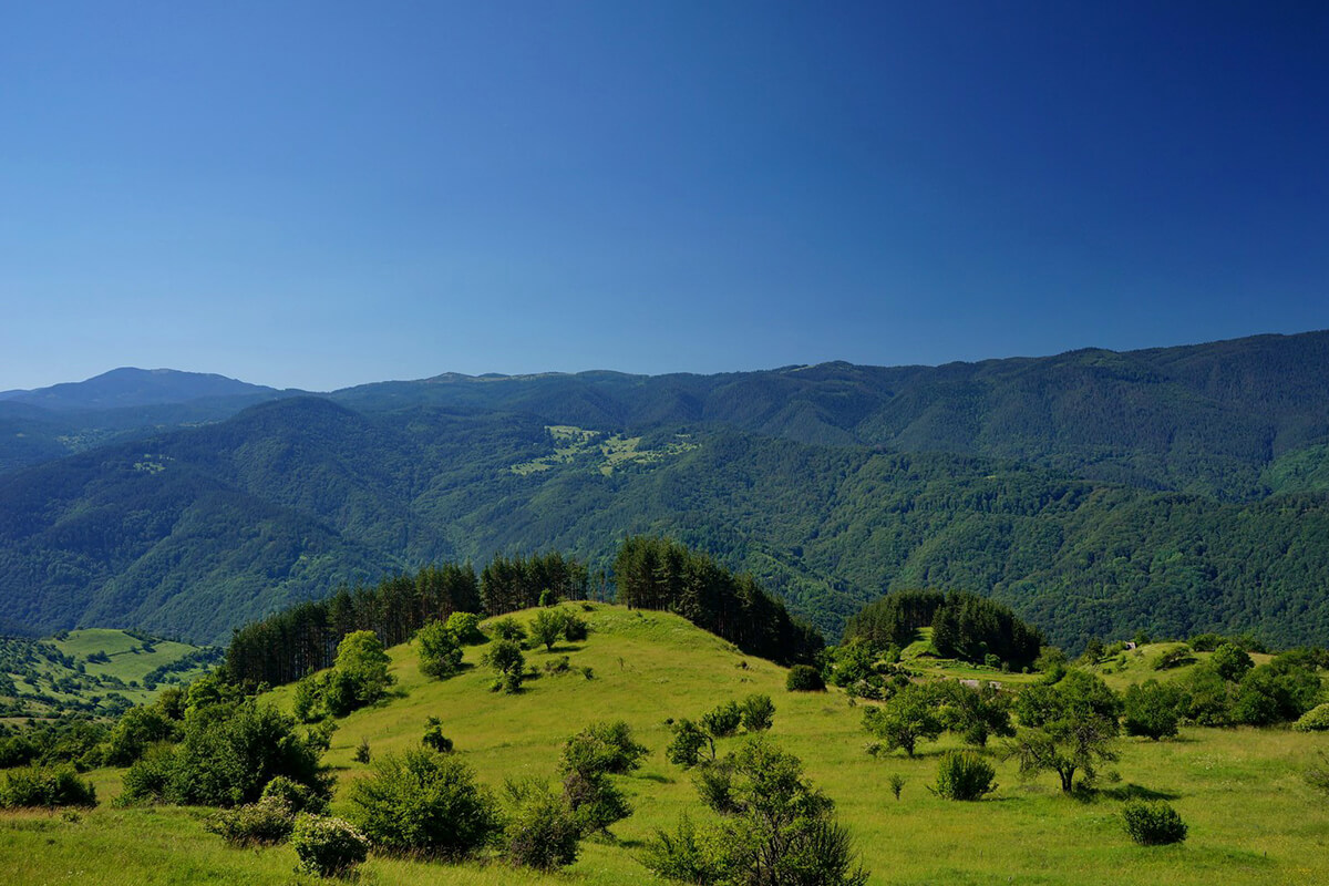 панорама чернатица