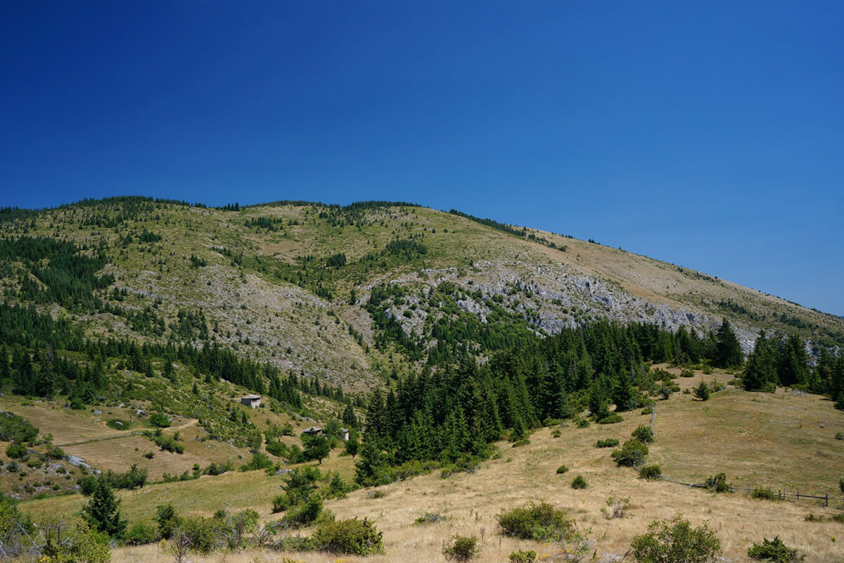 орехово