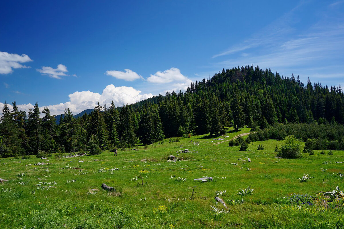 персенк