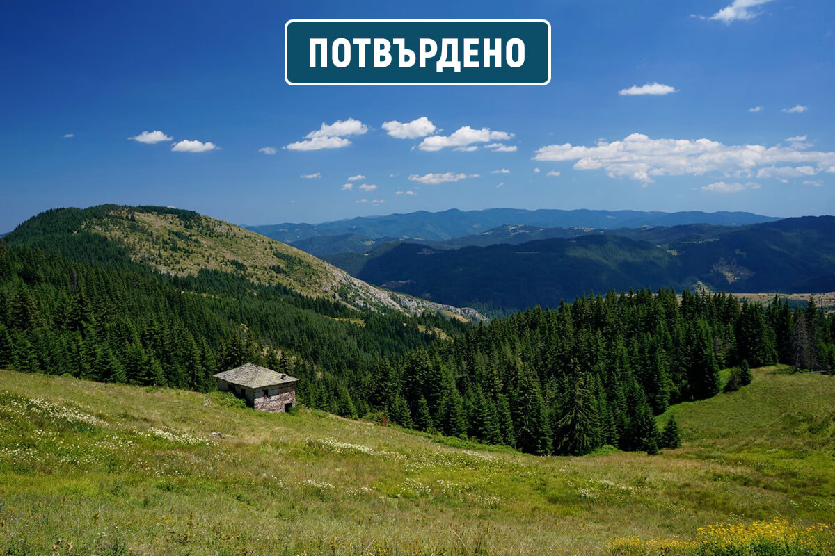 чернатица