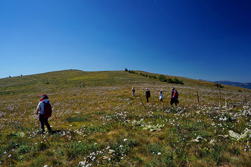 панорама милевска планина