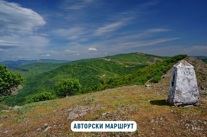 вейката