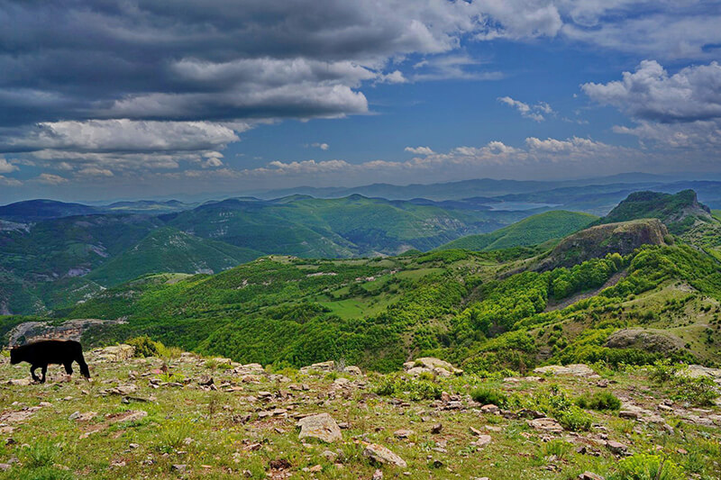 преход чиляка и бездивен