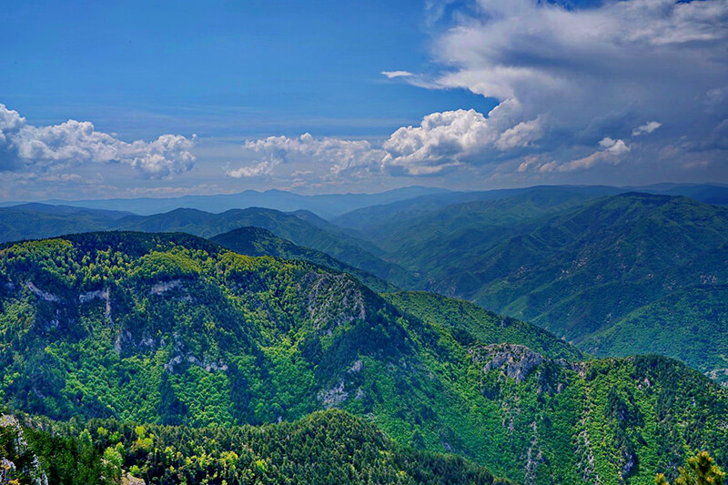 червената стена
