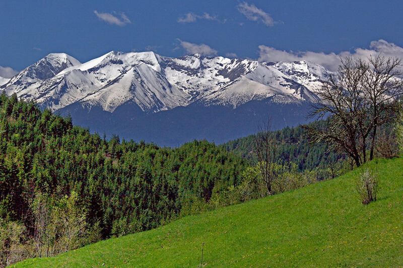 хайкинг беласица