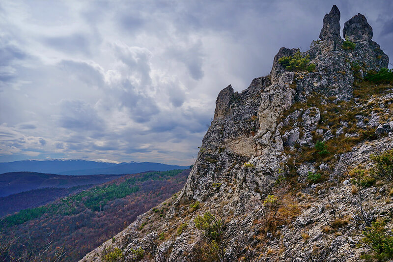 сарая