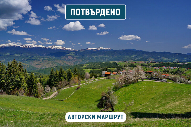 орцево
