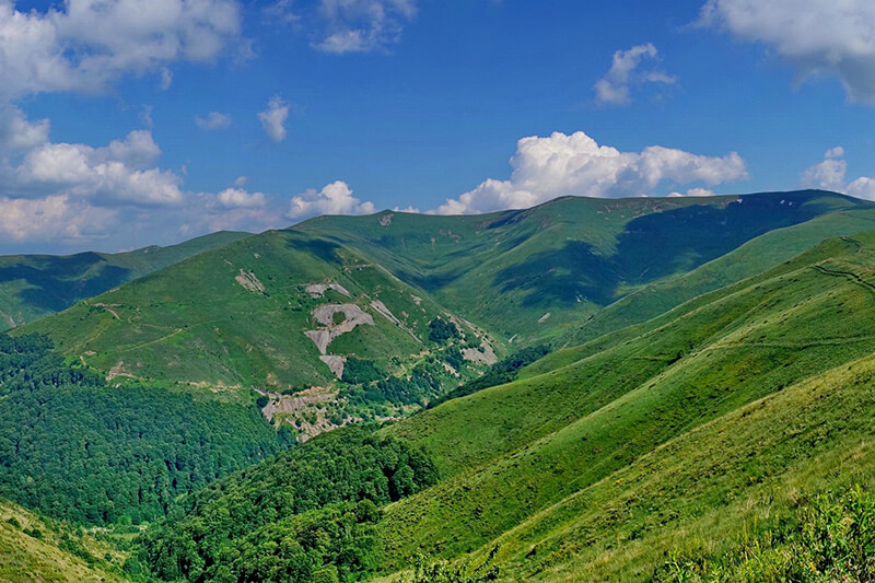 връх руен