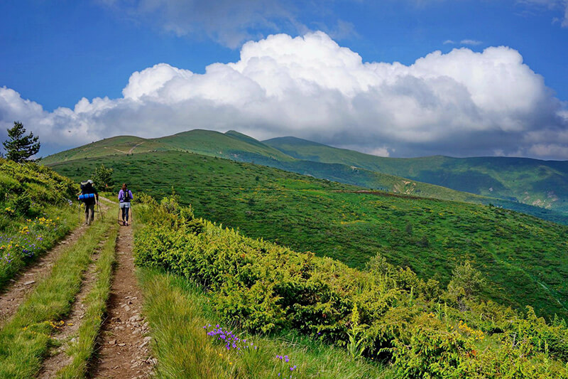 трекинг връх руен
