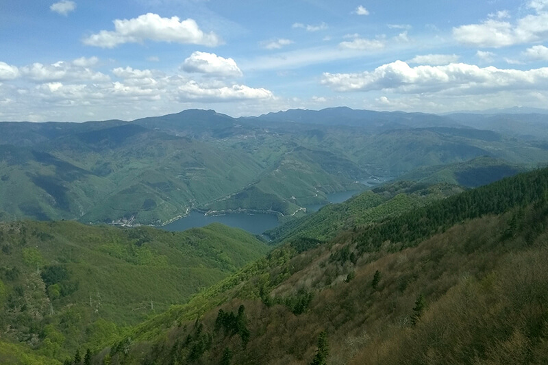 равногор