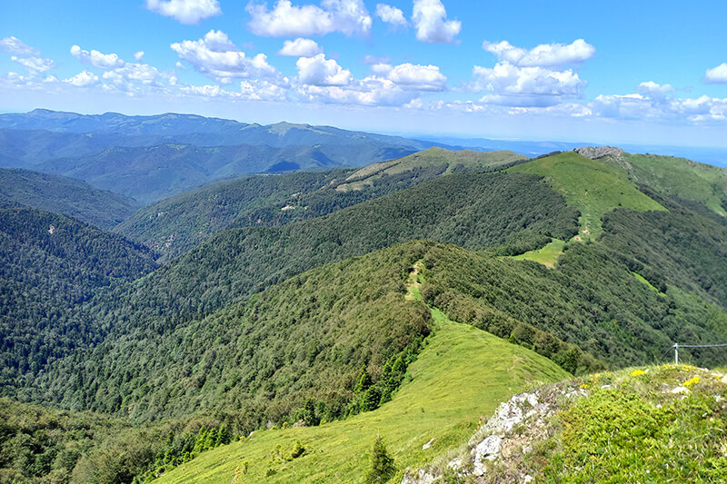 изкачване юмрука