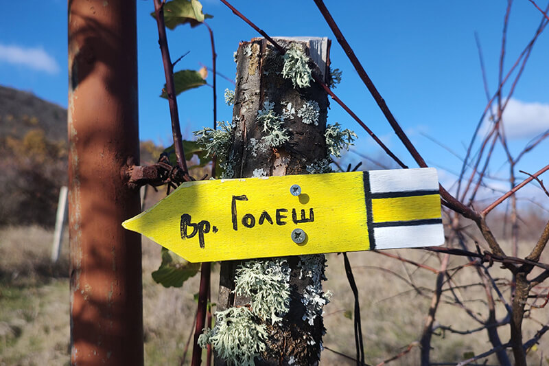 преход голеш